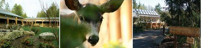 Resource > 3withdeer.jpg by: